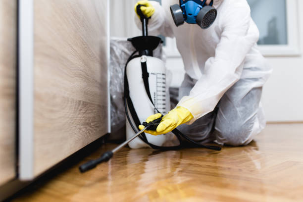 Best Mosquito Control Services  in Novato, CA