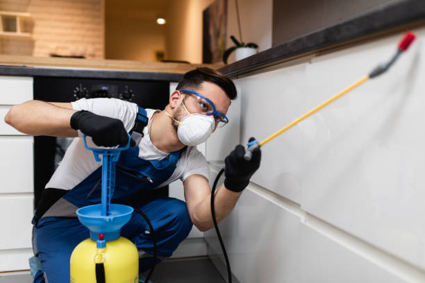 Best Flea Control Services  in Novato, CA