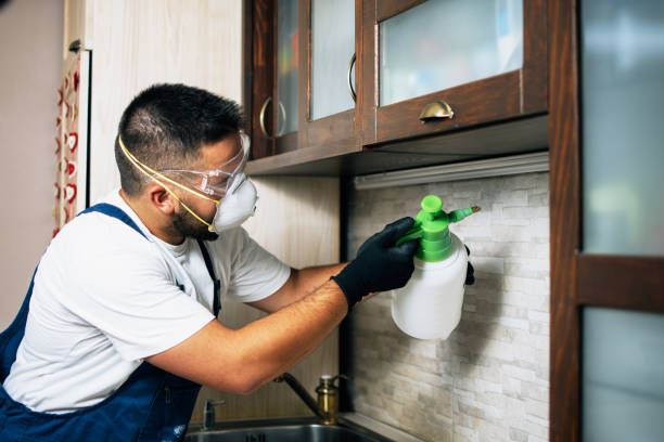  Novato, CA Pest Control Pros
