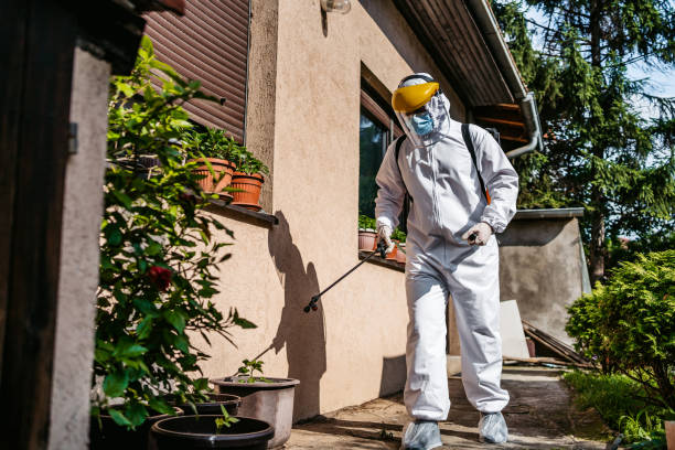 Best Wasp Removal Services  in Novato, CA