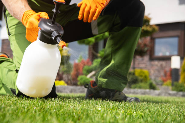 Best Residential Pest Control  in Novato, CA