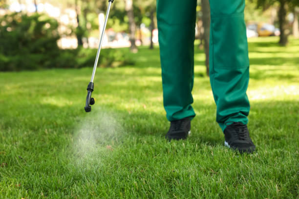 Best Ant Control Services  in Novato, CA