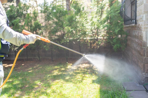 Best Pest Inspection Near Me  in Novato, CA