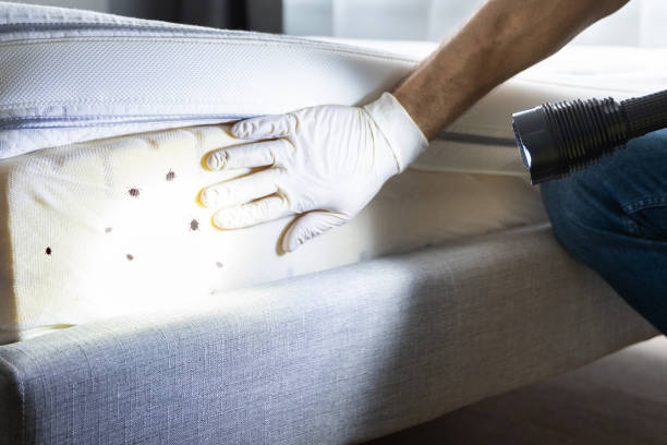 Novato, CA Pest Control Company