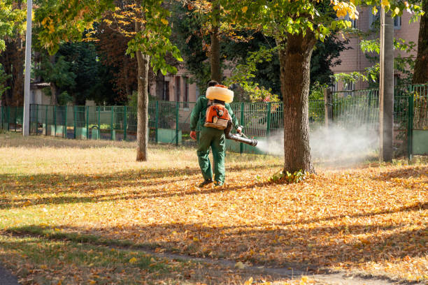 Best Pest Control Cost  in Novato, CA