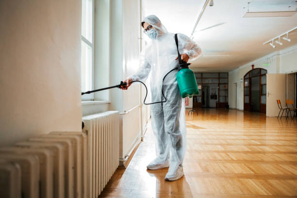 Best Local Pest Control Services  in Novato, CA
