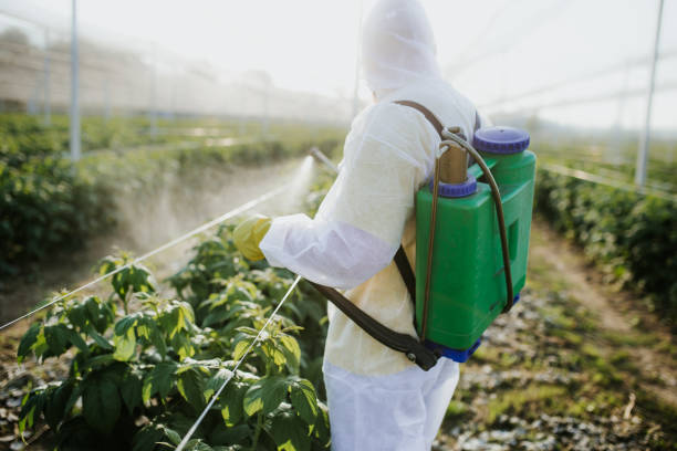Pest Control Cost in Novato, CA